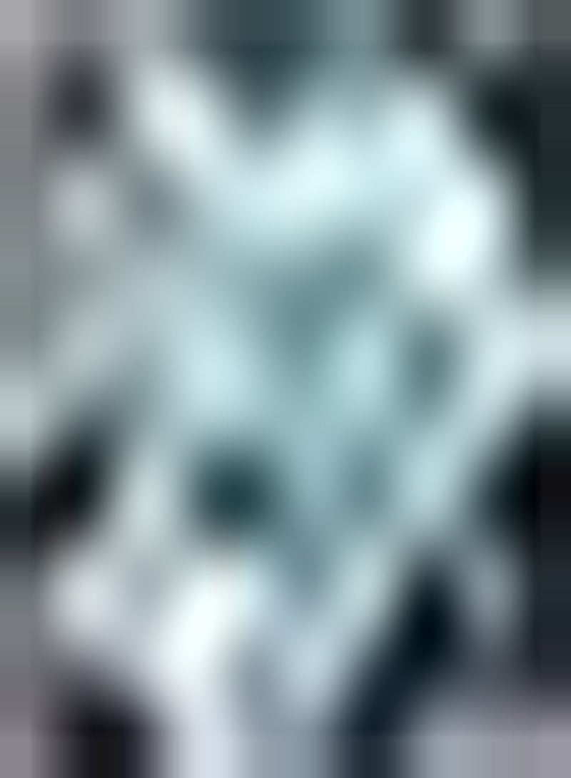 GGOOT 2pcs Blue Amaryllis Seeds Simple to Grow Good Choice for Planting Essential Materials for Home Decoration DIY Garden Craft Art Decoration - Image 1