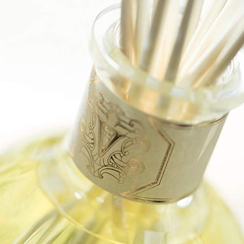 Dr. Vranjes معطر د. فرانجيز زنجبيل وليمون 250 مل - Image 5