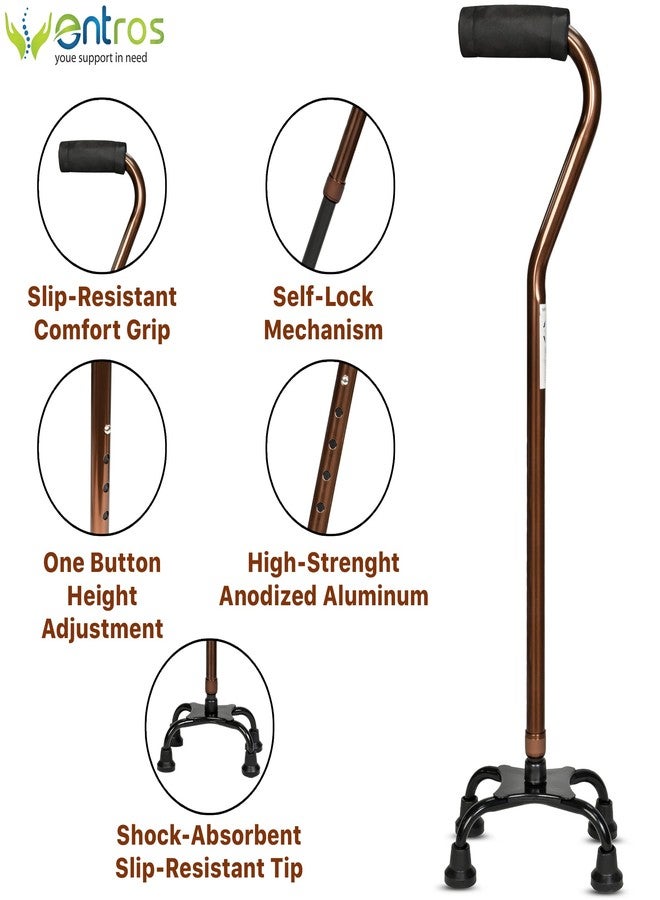 Entros Aluminium Height Adjustable quadripod 4 Leg Curved Walking Stick | Ideal for Senior Citizen, Old Elderly People, Patients & Handicap (Curved Small Quadripod-C) - Image 4