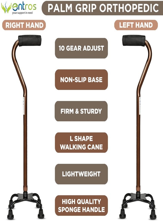 Entros Aluminium Height Adjustable quadripod 4 Leg Curved Walking Stick | Ideal for Senior Citizen, Old Elderly People, Patients & Handicap (Curved Small Quadripod-C) - Image 5