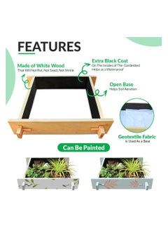 Generic Explorer Raised gardenbed 3 Feet x 3 Feet x 23 Cm. White Wood Raised Garden Bed Outdoor, planter box for home gardening, starter kit to grow flowers, herbs, vegetables.  - Image 5