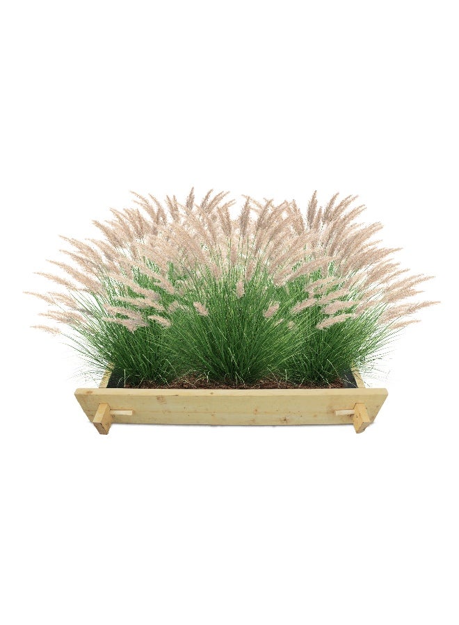 Explorer Raised gardenbed 3 Feet x 3 Feet x 23 Cm. Wooden Bed to grow  heat-resistant and hardy summer plants—foliage, flowering varieties, and creepers - Image 1
