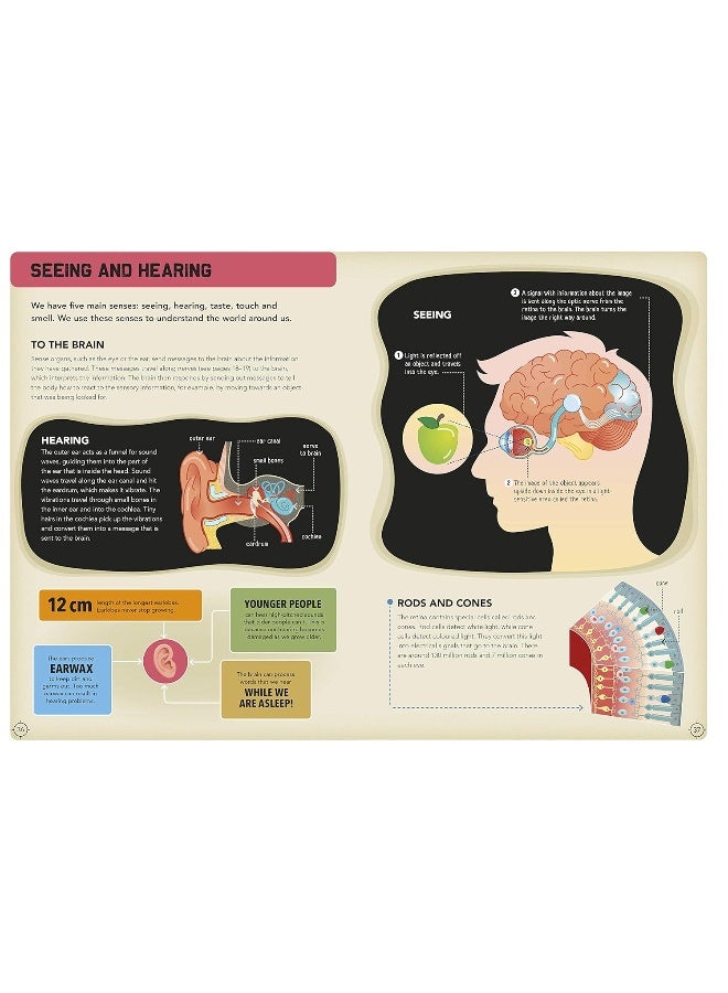 Go Quiz Yourself!: Human Body - Image 3