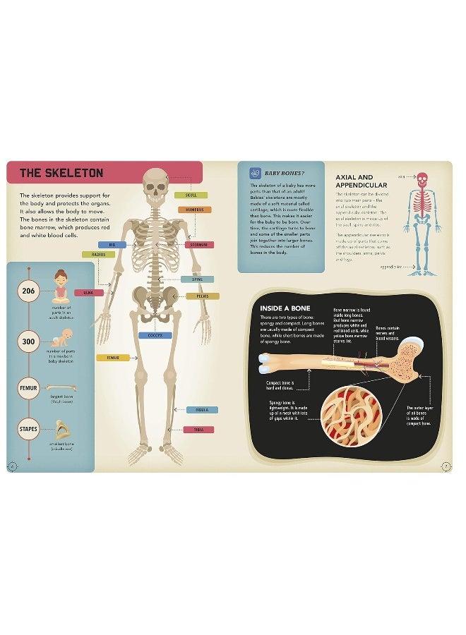 Go Quiz Yourself!: Human Body - Image 2