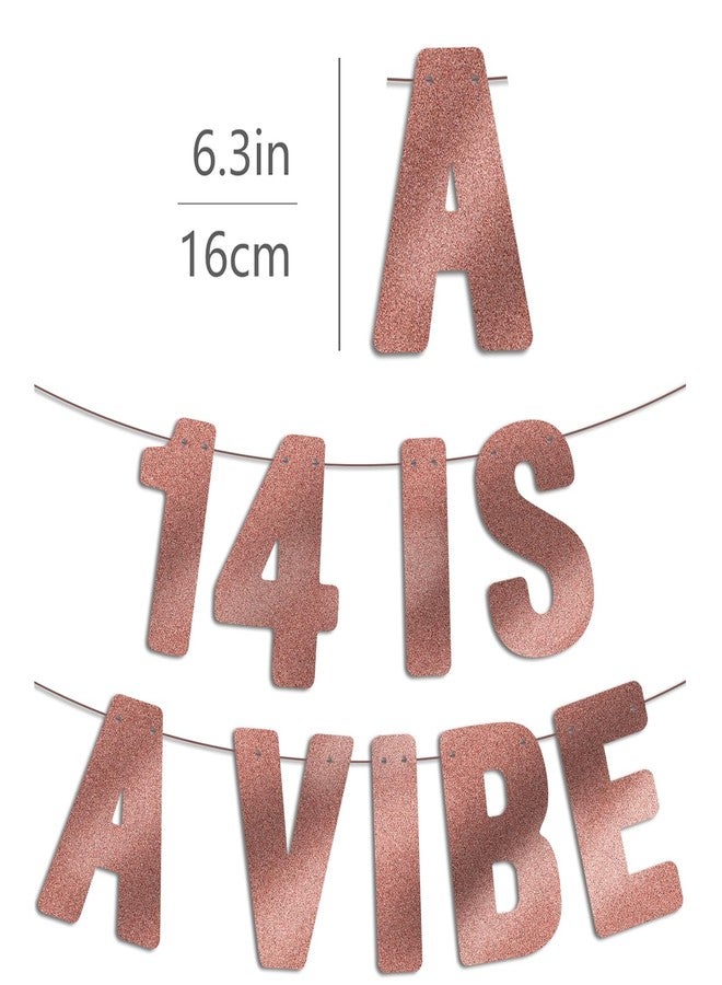 JunyRuny Pre Strung - 14 is a Vibe - Rose Gold Glitter Banner, 14th Birthday Decorations for Girls, 14 Year Old Decor Gifts Sign - Image 3