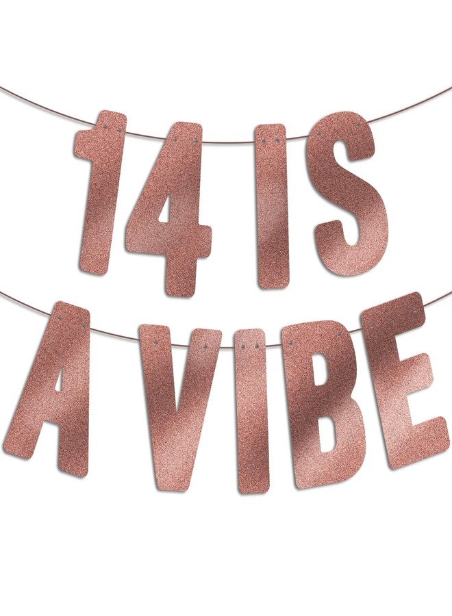 JunyRuny Pre Strung - 14 is a Vibe - Rose Gold Glitter Banner, 14th Birthday Decorations for Girls, 14 Year Old Decor Gifts Sign - Image 2
