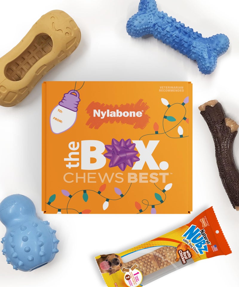 Nylabone Dog Gift Box Includes 4 Rubber Strong Chew Toys and 1 Natural Treat Gifts for Dogs Small Up to 25 lbs 5 Pack - Image 2