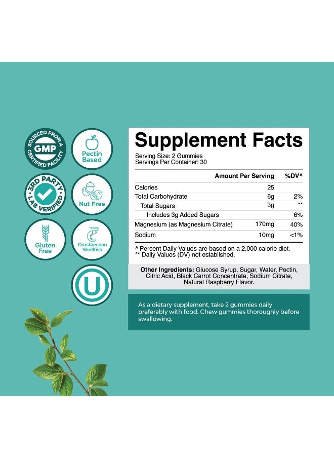 Magnesium Gummies Raspberry Flavor 60 Gummies
