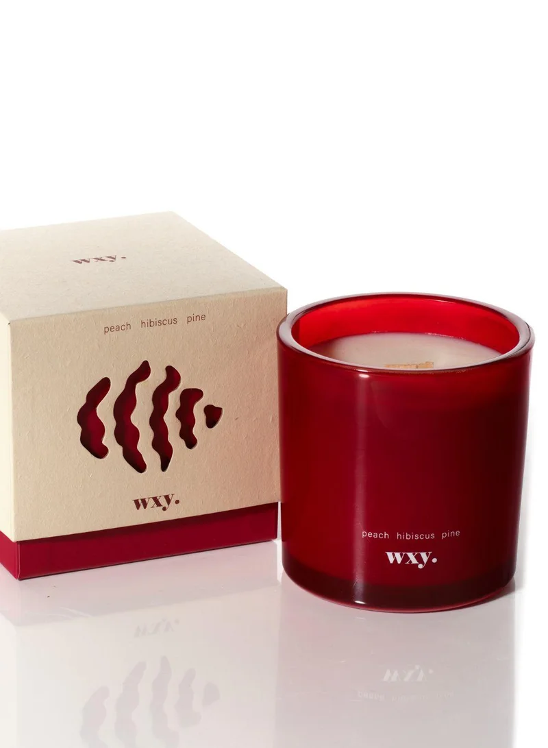 WXY Roam Candle - Olive Lemon Sun - Amber & Umbra Collection- Glass base -premium scented candle -