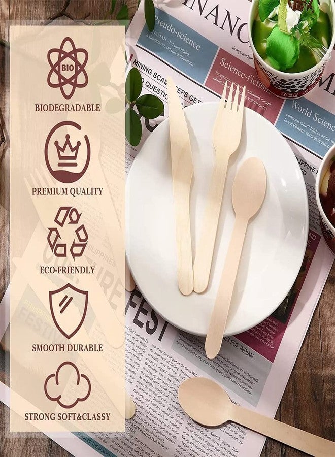 criterion Disposable Wooden Spoons, 14cm, 100 Pieces/Pack Spoon for Home Use | Eco-Friendly | Disposable Spoon (100) - Image 4