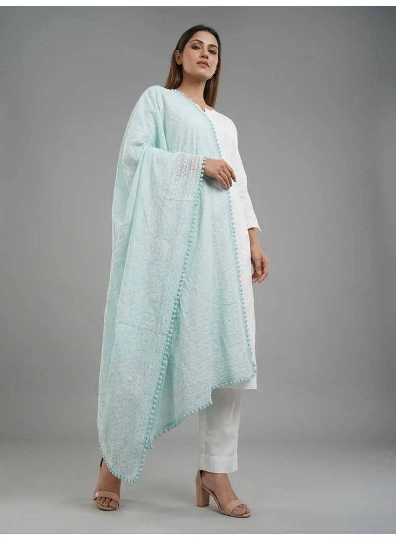 Alaya  Women Embroidered Georgette Dupatta-AL3721 for Women | Best Price UAE