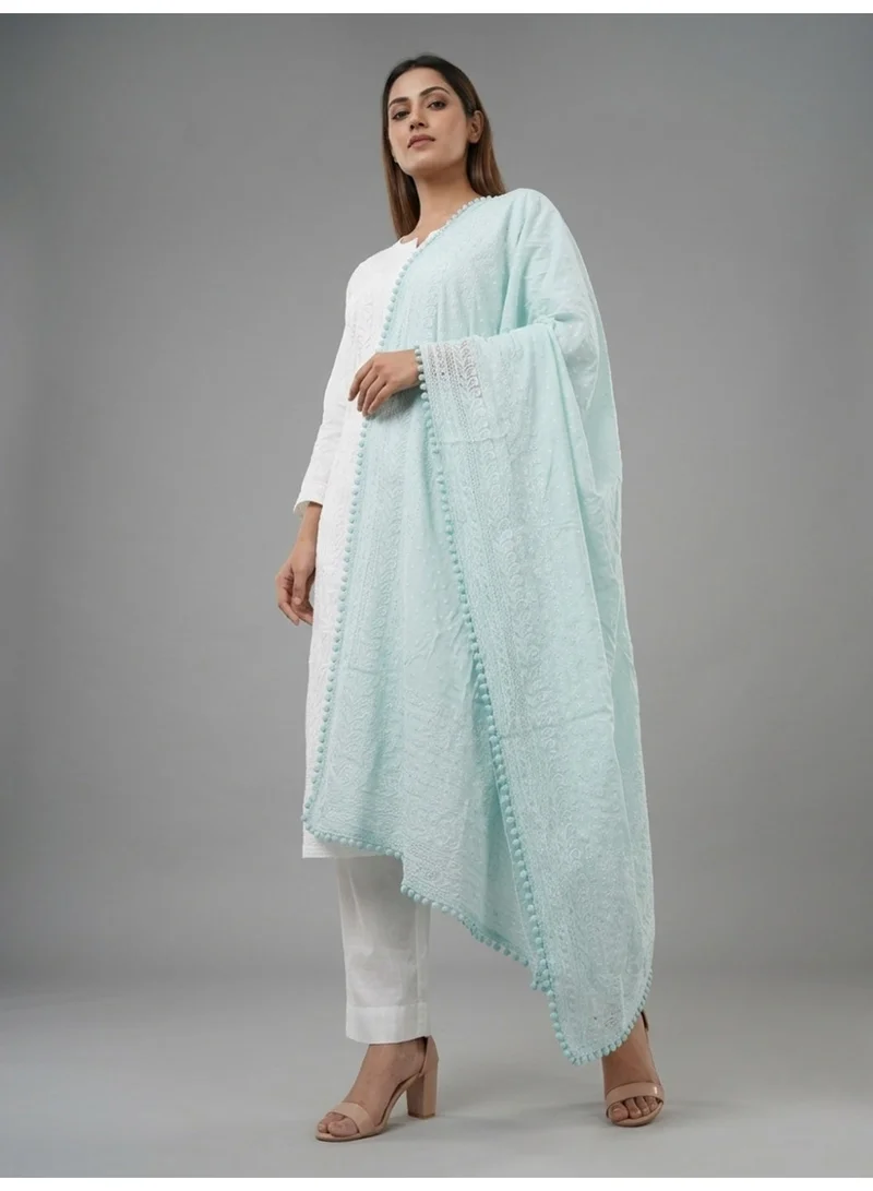 Alaya  Women Embroidered Georgette Dupatta-AL3721 for Women | Best Price UAE