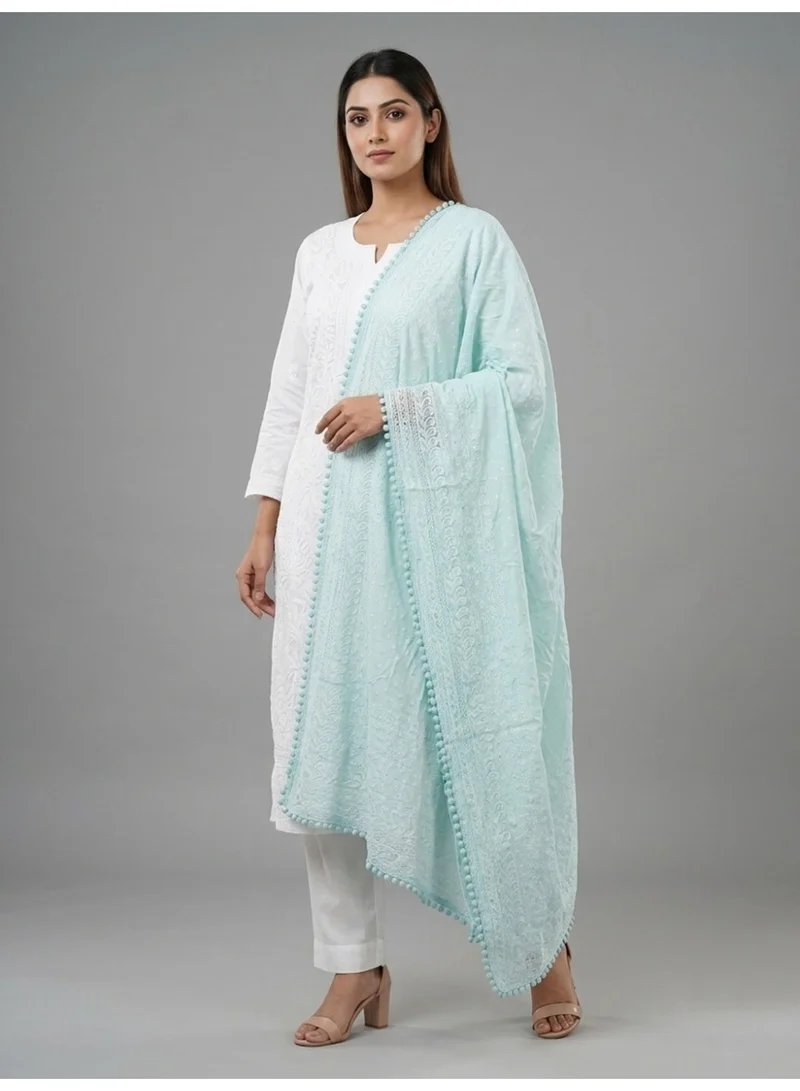 Women Embroidered Georgette Dupatta-AL3721