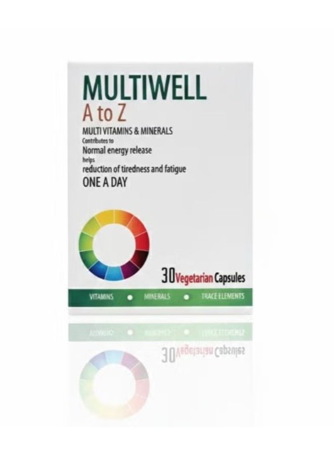 Wellbiotic Multiwell A to Z Daily Multivitamins & Minerals – 30 Vegetarian Capsules (Once a Day) - Image 2