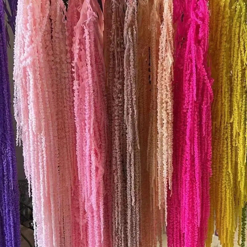 L7 Natural Dried Amaranth Flower - 5pcs Preserved Hanging Amaranthus Caudatus, Rustic Home Wedding Decor, Dried Plants for Floral Arrangements - Image 5