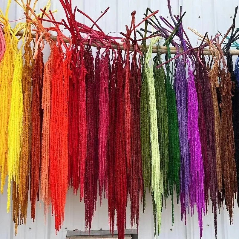 L7 Natural Dried Amaranth Flower - 5pcs Preserved Hanging Amaranthus Caudatus, Rustic Home Wedding Decor, Dried Plants for Floral Arrangements - Image 2