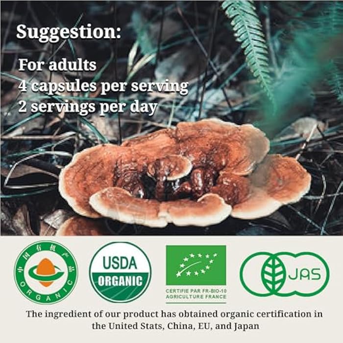 CheezhengHimalaya Reishi Mushroom, Organic Daily Supplements, Immune Support and Longevity - Vegan, Gluten-Free, Non-GMO, Tibetan Natural Herbal Supplement - 120 Capsules, 1400 mg - Image 5