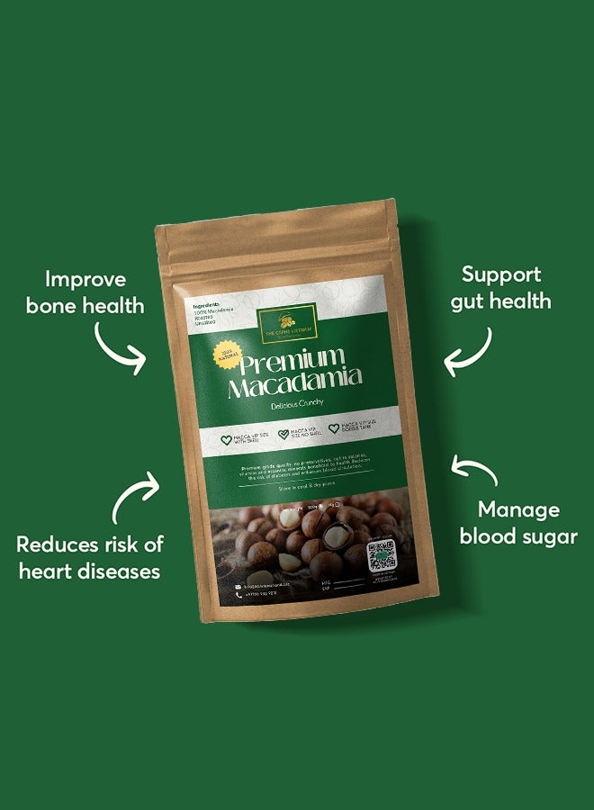 The Caphe Vietnam Premium Macadamia Nuts - 1 KG | VIP Size Without Shell | Unsalted & Roasted | Premium Vietnamese Macadamia Nuts - Image 4