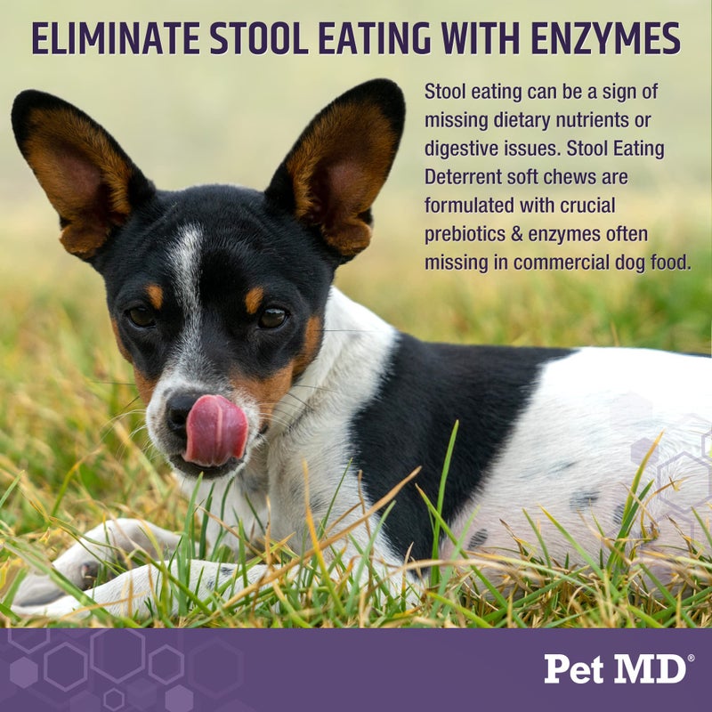 Pet MD Stool Eating Deterrent - Prevent Dog from Eating Poop - Coprophagia Aversion with Enzymes, Herbs, & Prebiotics for Digestive Support & Fresh Breath - Stop Stool Eating Chews - 60 ct - Image 4