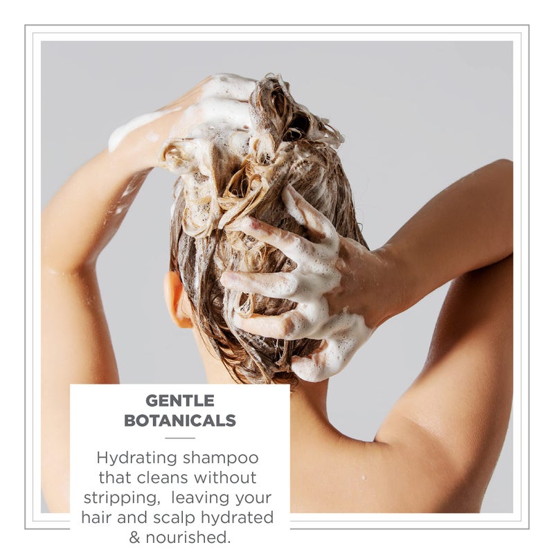 Zents Balancing Shampoo, Color Safe and Sulfate-Free with Organic Shea Butter & Lotus for All Hair Types, 10 fl oz - Image 2