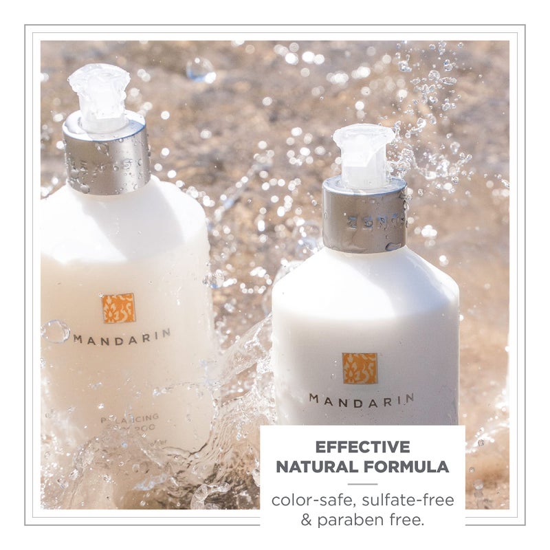 Zents Balancing Shampoo, Color Safe and Sulfate-Free with Organic Shea Butter & Lotus for All Hair Types, 10 fl oz - Image 3