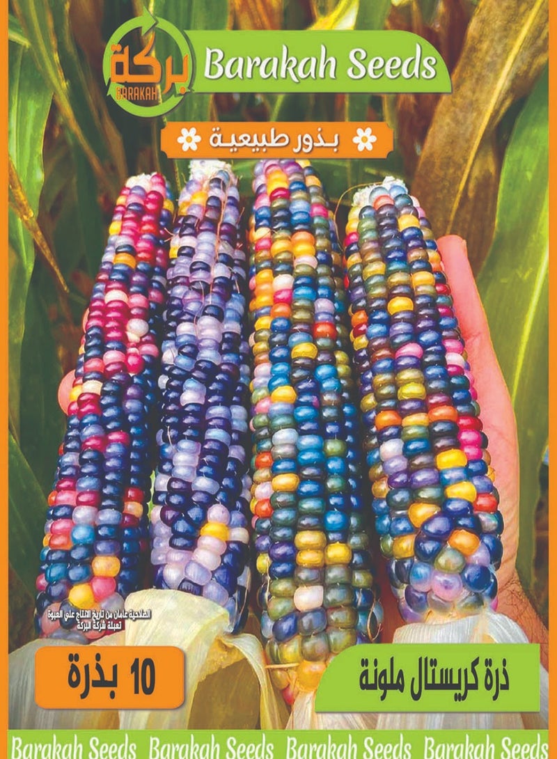 Generic High Germination Rate Seeds - Colored Crystal 