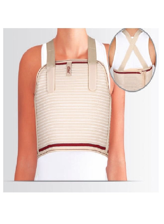 Case Chest Corset - Image 1