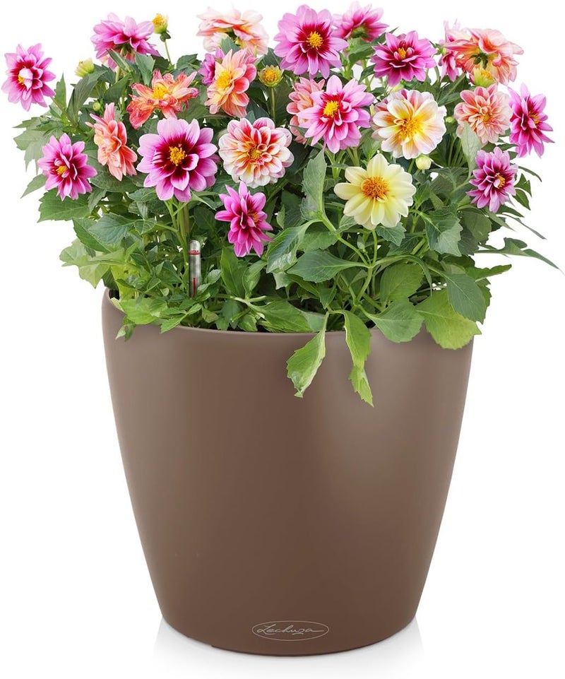 Lechuza 13183 Classico Color 21 Self-Watering Planter, Nutmeg Matte - Image 2