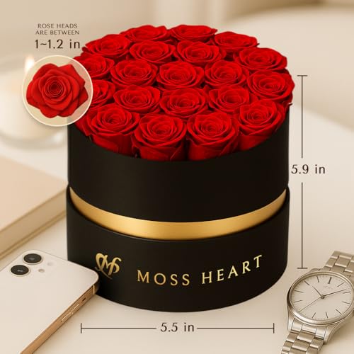 Moss Heart 20 وردة محفوظة، زهور خالدة للتوصيل في صندوق دائري مصمم، براعم صغيرة تدوم طويلاً، للنساء، باقة وردة أبدية ليوم الأم، عيد ميلاد صديقة - Image 2