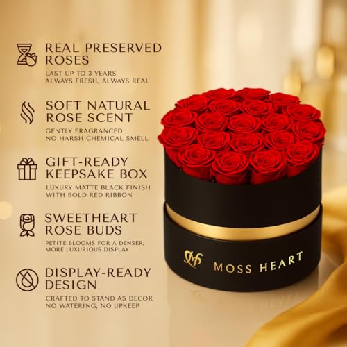 Moss Heart 20 وردة محفوظة، زهور خالدة للتوصيل في صندوق دائري مصمم، براعم صغيرة تدوم طويلاً، للنساء، باقة وردة أبدية ليوم الأم، عيد ميلاد صديقة - Image 3