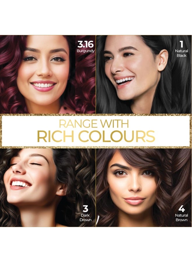 ستريكس جل صبغة شعر ستريكس للنساء والرجال، لون عنابي 3.16، 150 مل | لون عنابي | تغطية كاملة للشعر الرمادي | لون شعر يدوم طويلاً، سهل الاستخدام | لون شعر خالٍ من الأمونيا، يدوم حتى 20 غسلة - Image 5
