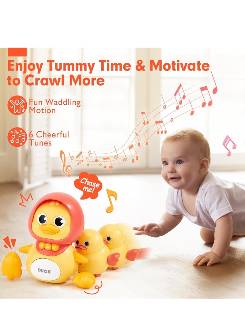 Baby Crawling Musical Toys with Light & Sound, Babies Early Learning Musical Toy, Sensory Learning Infant Toy for 1+ Year Old Girl Boy Baby Gifts - Image 5