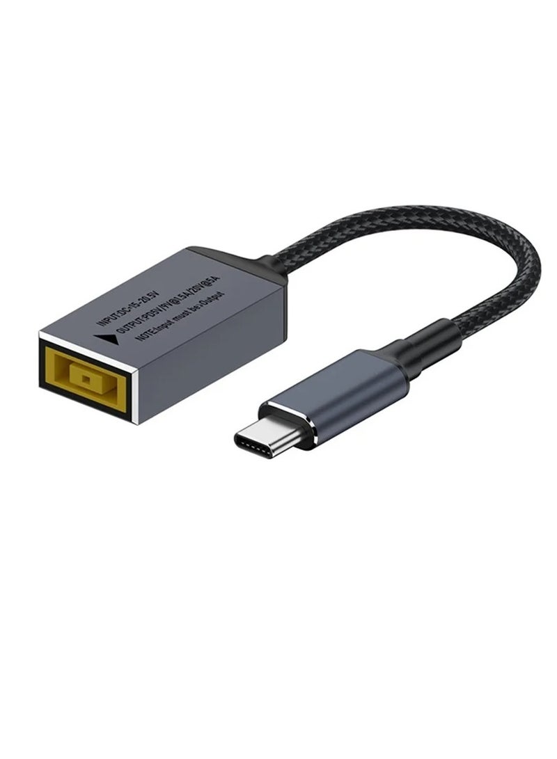 Terabyte محول شحن كمبيوتر لينوفو بيغ سكوير أنثوي إلى USB-C / نوع-C ذكري 100 واط - Image 1