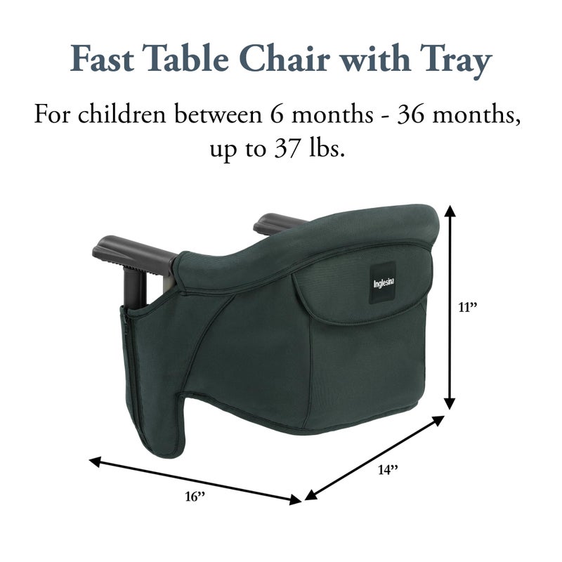 Inglesina Fast Table Chair - Dark Green + Fast Dining Tray - Portable Baby High Chair - for Babies & Toddlers up to 37 lbs -Fits Tables 0.8'' to 3.5'' Thick -Compact & Easy to Use -Travel Bag Included - Image 3