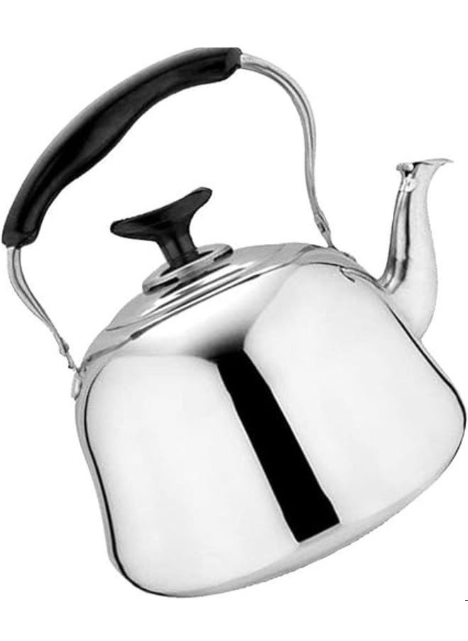 DESSINI Dessini Stainless Steel Tea Kettle With Strainler 3L  - Image 1