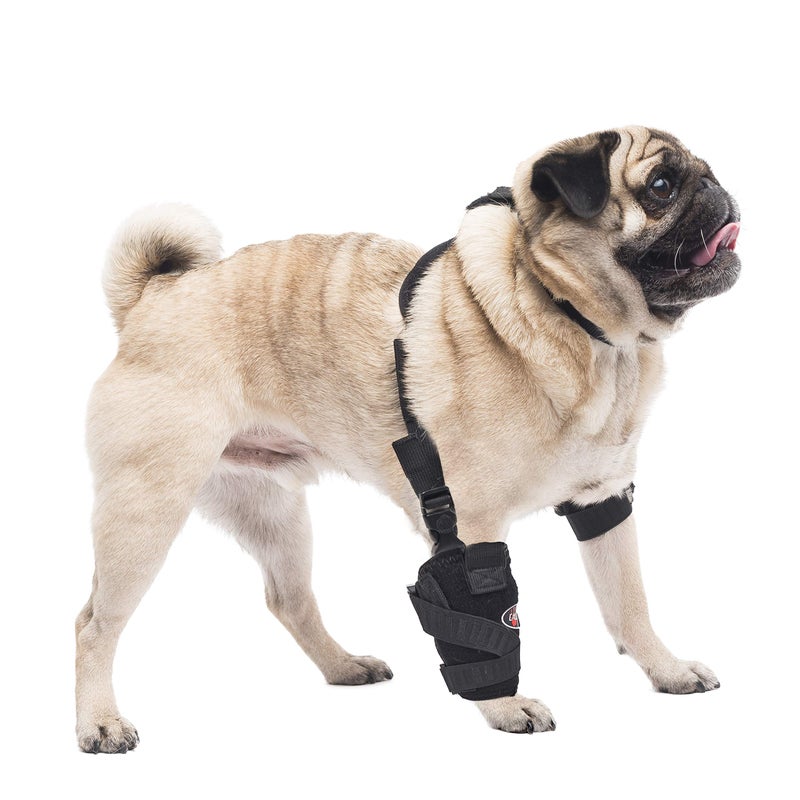 Caldera Universal Carpal Elbow Pet Therapy Wrap - Image 2