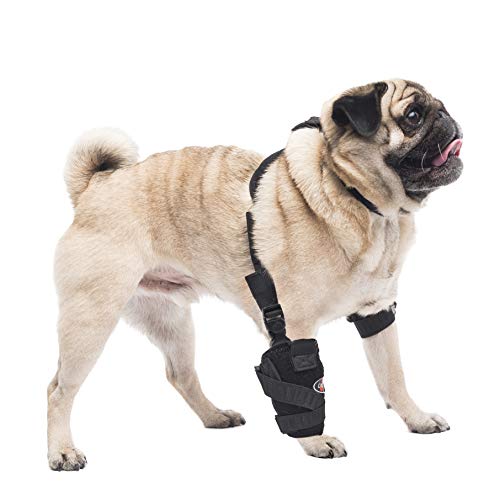 Caldera Universal Carpal Elbow Pet Therapy Wrap - Image 1