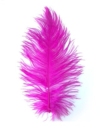 Pink Ostrich Feathers 10-15 Inch (25-38cm) - pzsku/Z1379A68382781CF4798AZ/45/_/1661954562/75574b07-2a3a-42e0-869b-6d228198755d