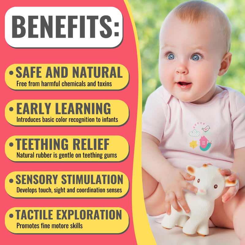 Caaocho Pure Natural Rubber Teething Baby Toy - Sola The Goat Teether For Babies  Bpa Free Baby Toy  All Natural Teething Toys For Babies 0-6  Safe And Fun Molar Teether Toy - Image 5