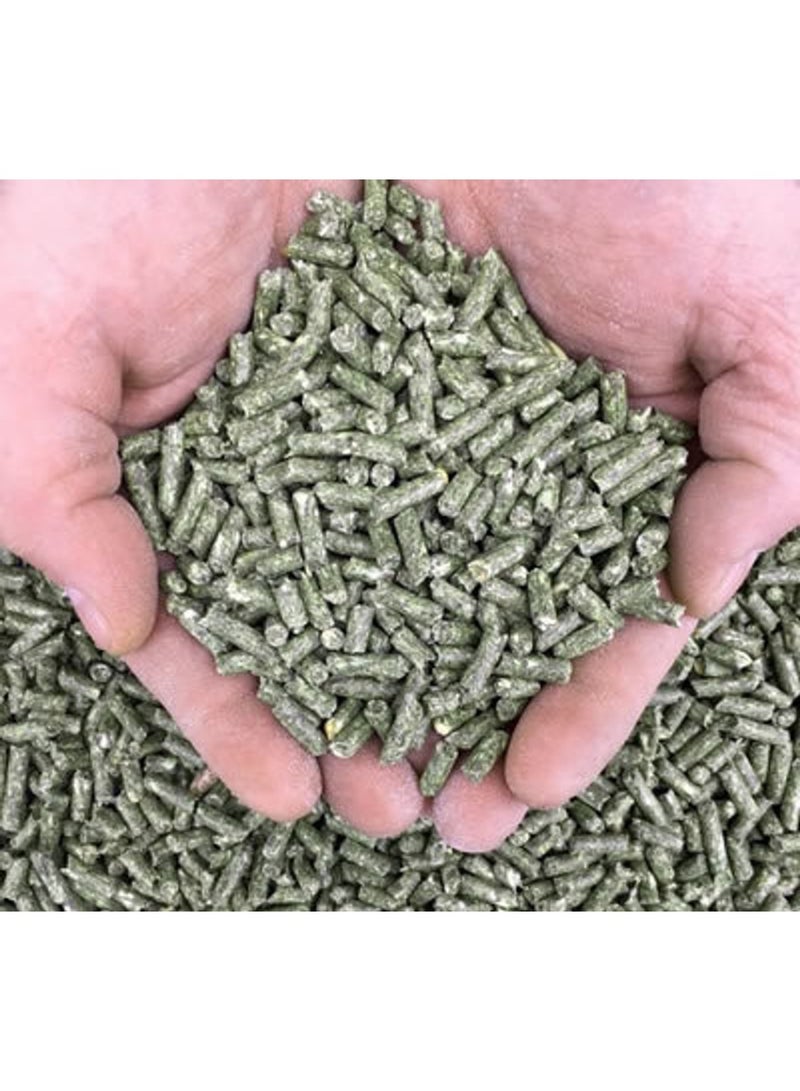 طعام حبيبات الأرانب غني بالفيتامينات D والمعادن والكالسيوم وطعام صحي لجميع أنواع الأرانب وخنازير غينيا. كل قضمة تحتوي على مغذيات. 2 كجم - Image 2