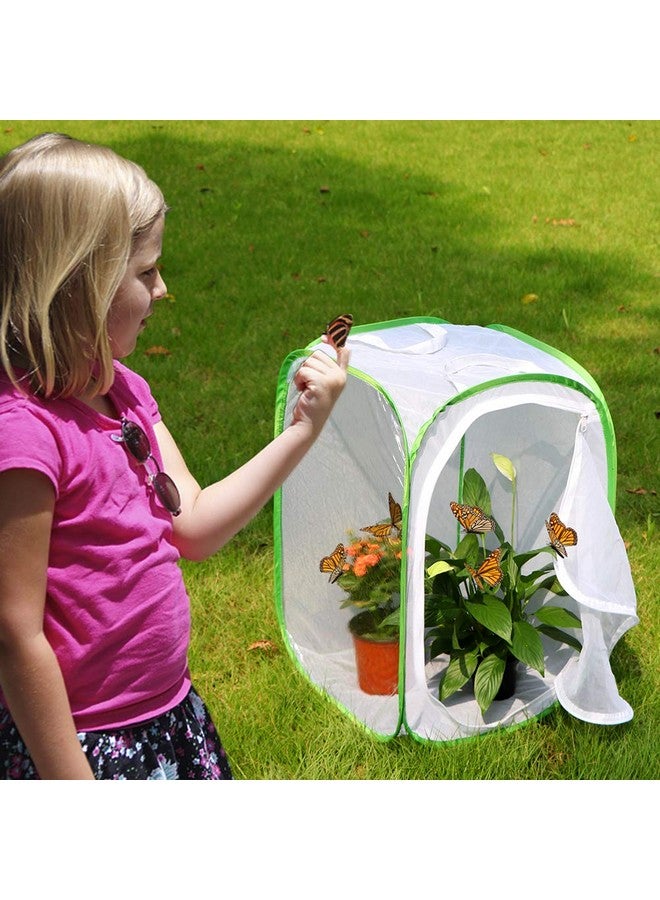 RESTCLOUD قفص موطن الحشرات والفراشات 3 عبوات - حاوية فراشات قابلة للطي (3 × 15.7 × 15.7 × 23.6) - Image 2