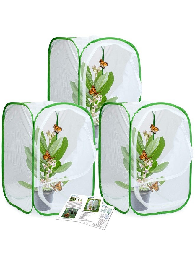 RESTCLOUD قفص موطن الحشرات والفراشات 3 عبوات - حاوية فراشات قابلة للطي (3 × 15.7 × 15.7 × 23.6) - Image 1