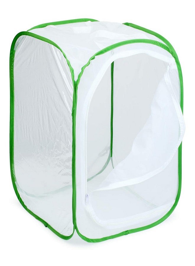 RESTCLOUD قفص موطن الحشرات والفراشات 3 عبوات - حاوية فراشات قابلة للطي (3 × 15.7 × 15.7 × 23.6) - Image 5