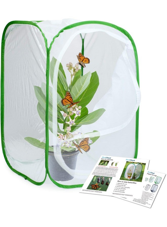 RESTCLOUD قفص موطن الحشرات والفراشات 3 عبوات - حاوية فراشات قابلة للطي (3 × 15.7 × 15.7 × 23.6) - Image 4