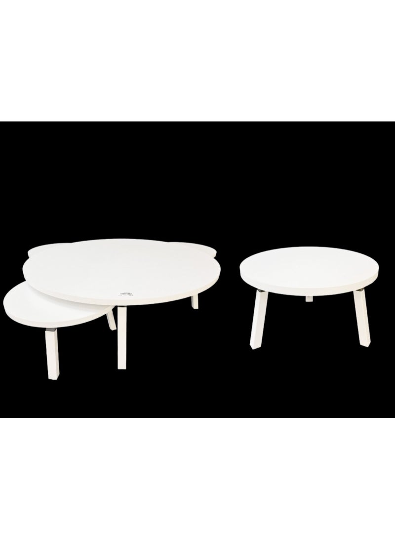 Living Floor Table Set (1 Large + 4 Small) – Perfect for Living Rooms & Salons - Image 3