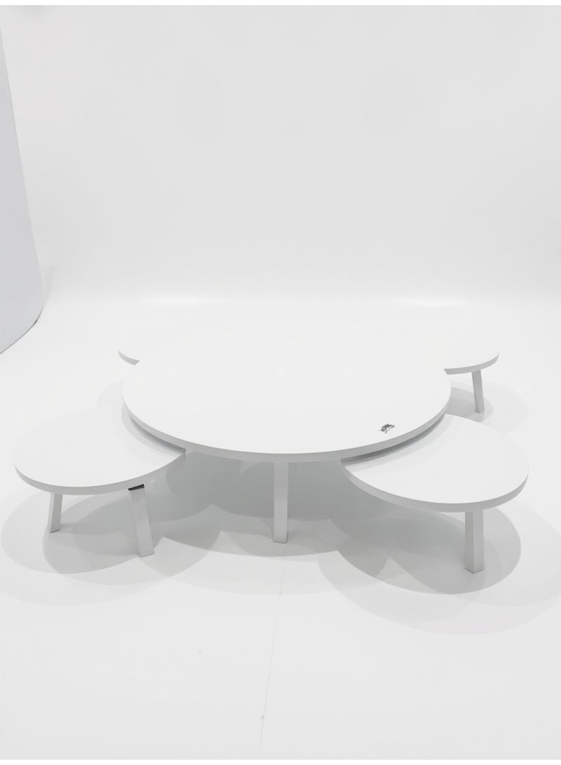 Living Floor Table Set (1 Large + 4 Small) – Perfect for Living Rooms & Salons - Image 2