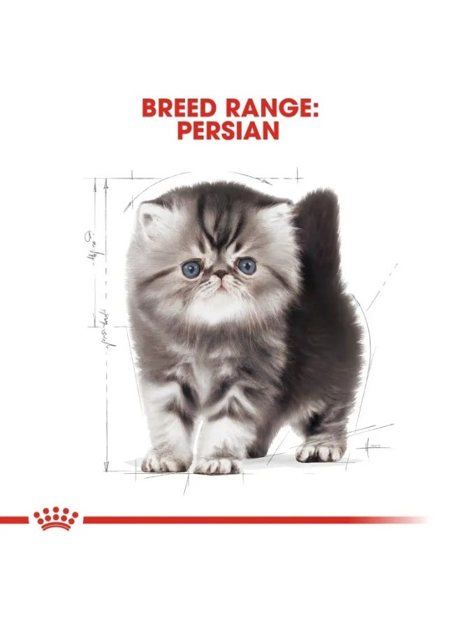 Royal Canin Persian Kitten Dry Food Healthy Growth & Coat Dry Cat Food Bag 400g - Image 5