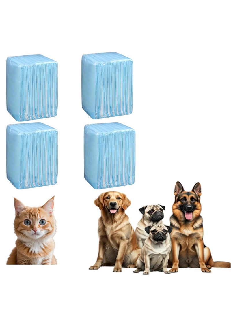 GOLDEN CAT - Pet Training Pads, Super Absorbent Puppy Pads, Anti Slip Toilet Pee Mat, Leak Proof & Quick Dry Pet Pads for Dogs, Cats, Rabbits, Pets, - 4 Bag X 20 Pads - Size, 60 X 90 CM -  Total 80 Pads. - Image 1