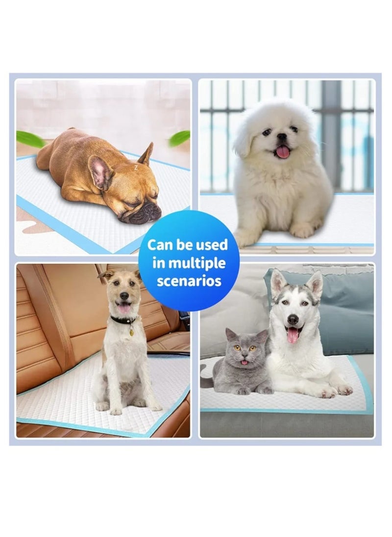 GOLDEN CAT - Pet Training Pads, Super Absorbent Puppy Pads, Anti Slip Toilet Pee Mat, Leak Proof & Quick Dry Pet Pads for Dogs, Cats, Rabbits, Pets, - 4 Bag X 20 Pads - Size, 60 X 90 CM -  Total 80 Pads. - Image 1