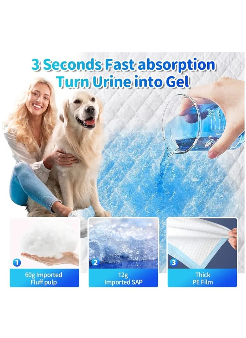 GOLDEN CAT - Pet Training Pads, Super Absorbent Puppy Pads, Anti Slip Toilet Pee Mat, Leak Proof & Quick Dry Pet Pads for Dogs, Cats, Rabbits, Pets, - 4 Bag X 20 Pads - Size, 60 X 90 CM -  Total 80 Pads. - Image 1